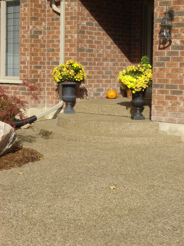 Decorative concrete steps and walkway
